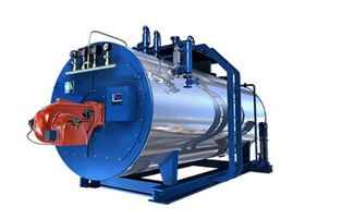 燃油燃?xì)鈨捎缅仩t wns1 1.25 y q