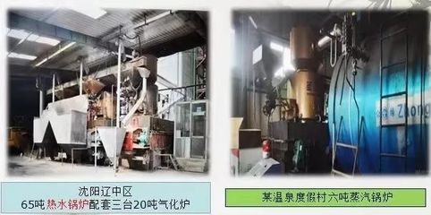 天然氣之夜 | 生物質(zhì)氣化氣的特征與市場拓展——以蒸汽鍋爐應(yīng)用為例