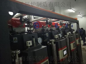 食品機(jī)械配套蒸汽鍋爐 高效廚房設(shè)備的核心動力